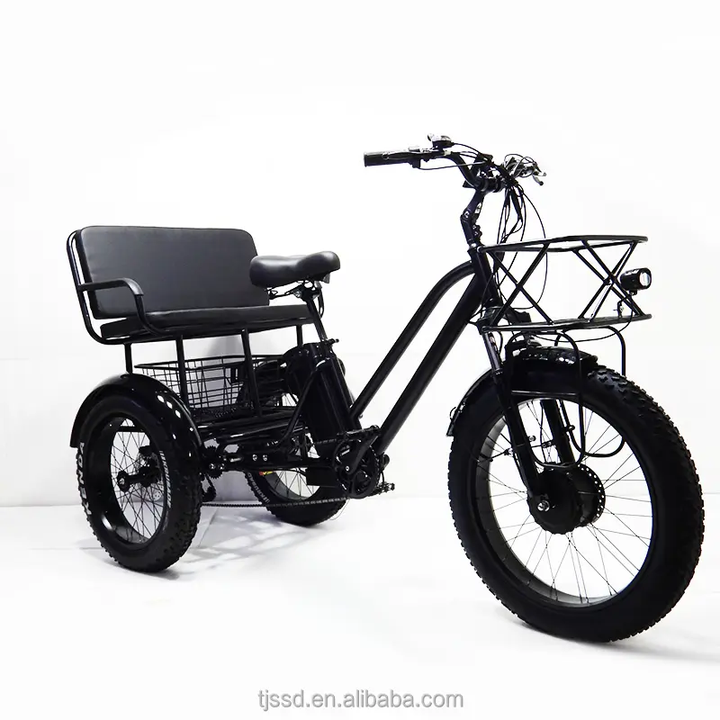 중국에서 전기 성인 세발 자전거 Fatbike Ebike 최대 전기 세발 자전거 사용자 정의 강철 3 륜 자전거 화물 및 승객을위한 자전거