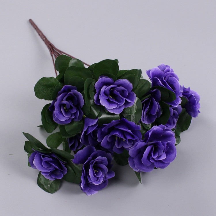 Azalées bleu-violet