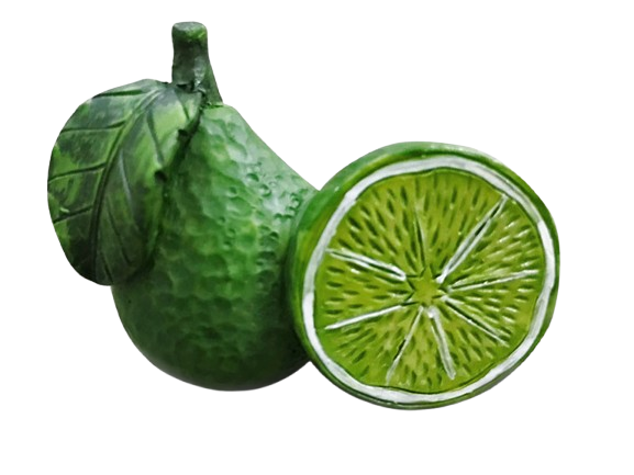 Limón S22493