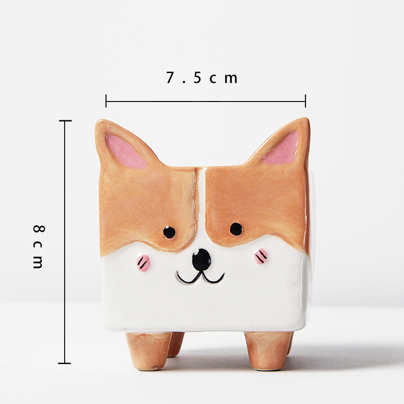 Corgi con agujero