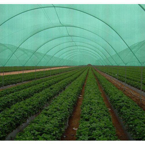 Dark Green Windproof <strong>Net</strong> <strong>Shade</strong> <strong>Net</strong> with 5 Years UV Protection for Farm and Vegetables - Product Image 3
