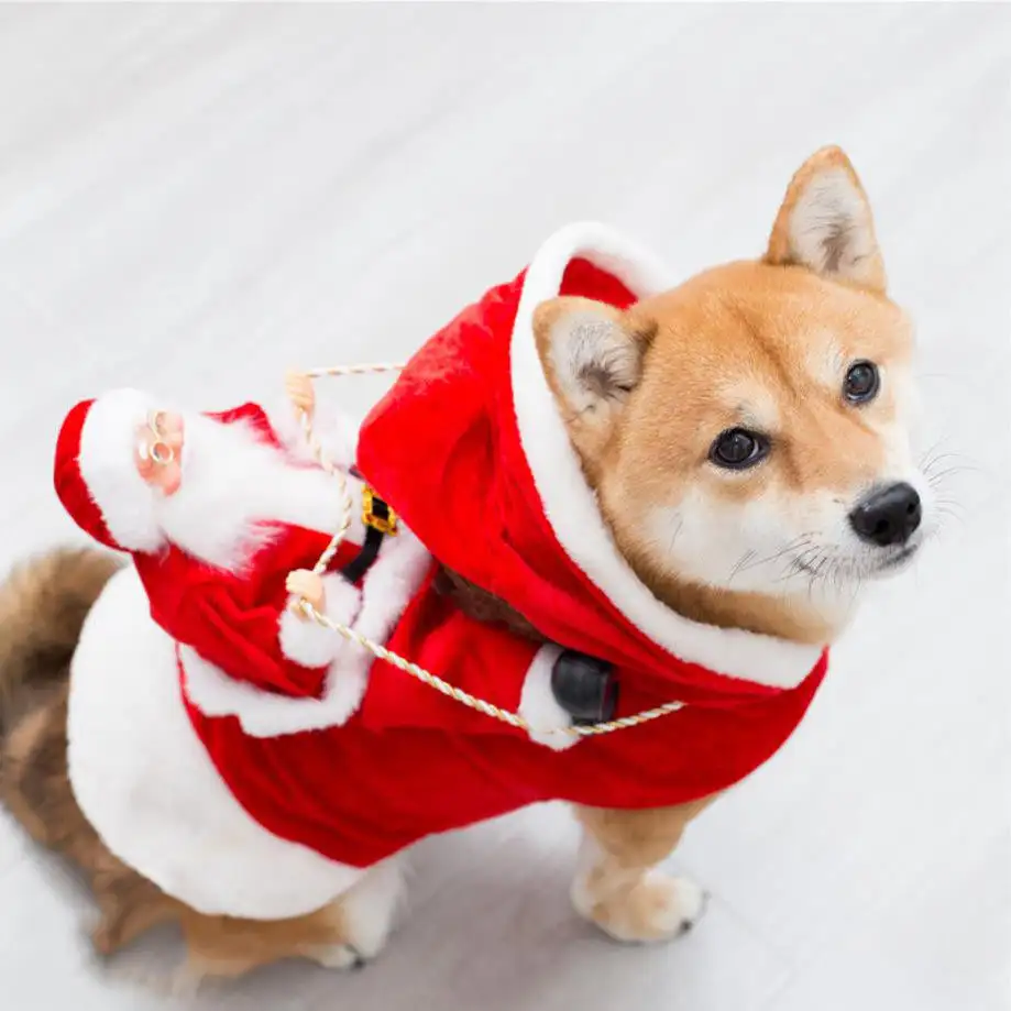 Qbellpet natale cane vestiti di Santa cane costumi da festa vestirsi per le piccole medie grandi cani divertente animale da compagnia in sella