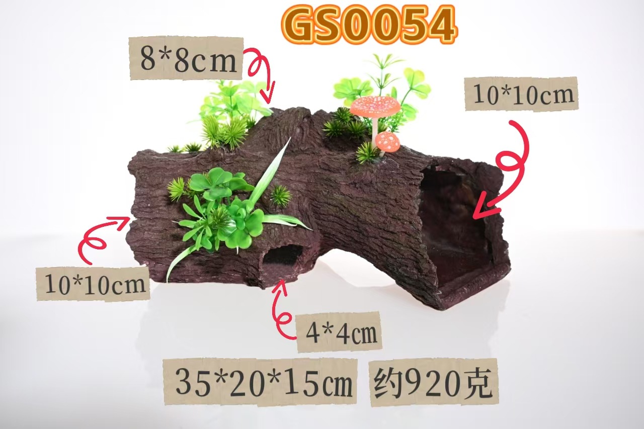 Gs0054