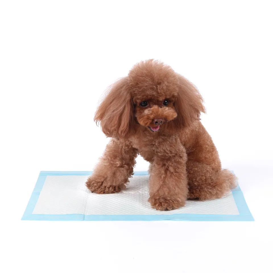 Hor selling pee pad quick-dry eco friendly assorbenti usa e getta per cani e cuccioli