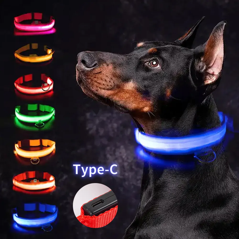 Coleira luminosa LED para cachorro, coleira personalizada com luz intermitente ajustável e ajustável, tipo C, com carregador USB de luxo, ideal para animais de estimação