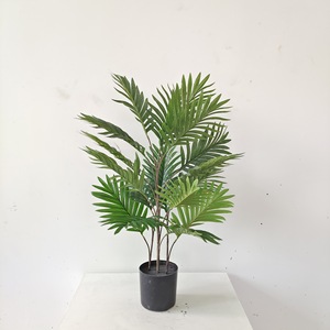 北欧装飾造園植物緑のバナナツリーStrelitziasスカイバードヤシの木耐久性プラスチックシルク造園用 - Product Image 6