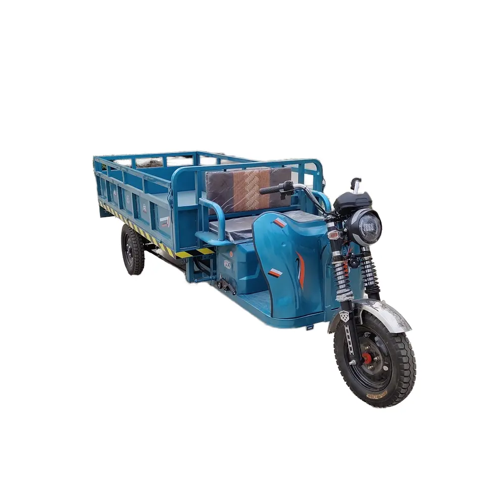 Produsen penjualan langsung modis fungsional 200Kg kargo elektrik sepeda roda tiga untuk dewasa