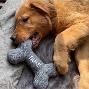 Kişiselleştirilmiş <span class=keywords><strong>Pet</strong></span> oyuncak dayanıklı köpek oyuncaklar köpek çiğnemek kemik oyuncaklar <span class=keywords><strong>Pet</strong></span> hediyeler yeni yavru hediye - Product Image 2