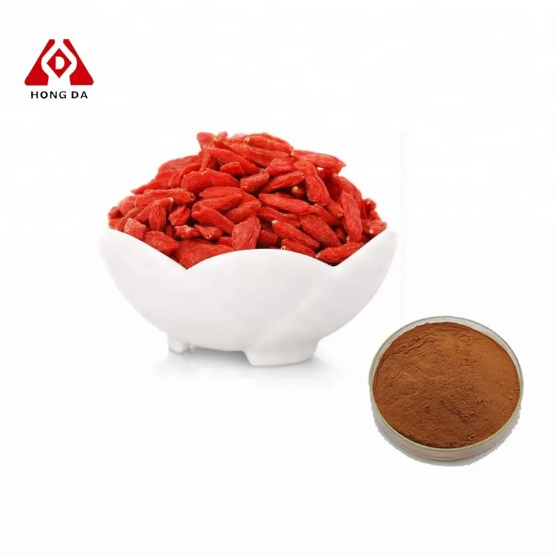 Hongda Factory Supply Nature estratto di Wolfberry estratto di bacche di Goji polvere di bacche di Goji