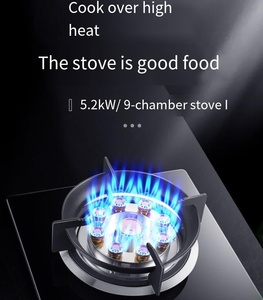 燃气灶炉多烹饪固体元件炉灶面DM-GS21易组装燃气灶 - Product Image 5