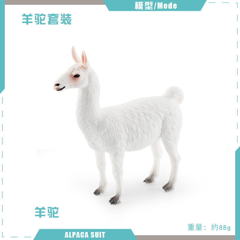 T15524 Alpaca 88g
