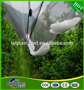 Meyve/bitkileri koruma ağı dolu hasar bahçeler için HDPE dolu koruma ağı 6m * 50m düşük maliyetli üzüm koruma - Product Image 3