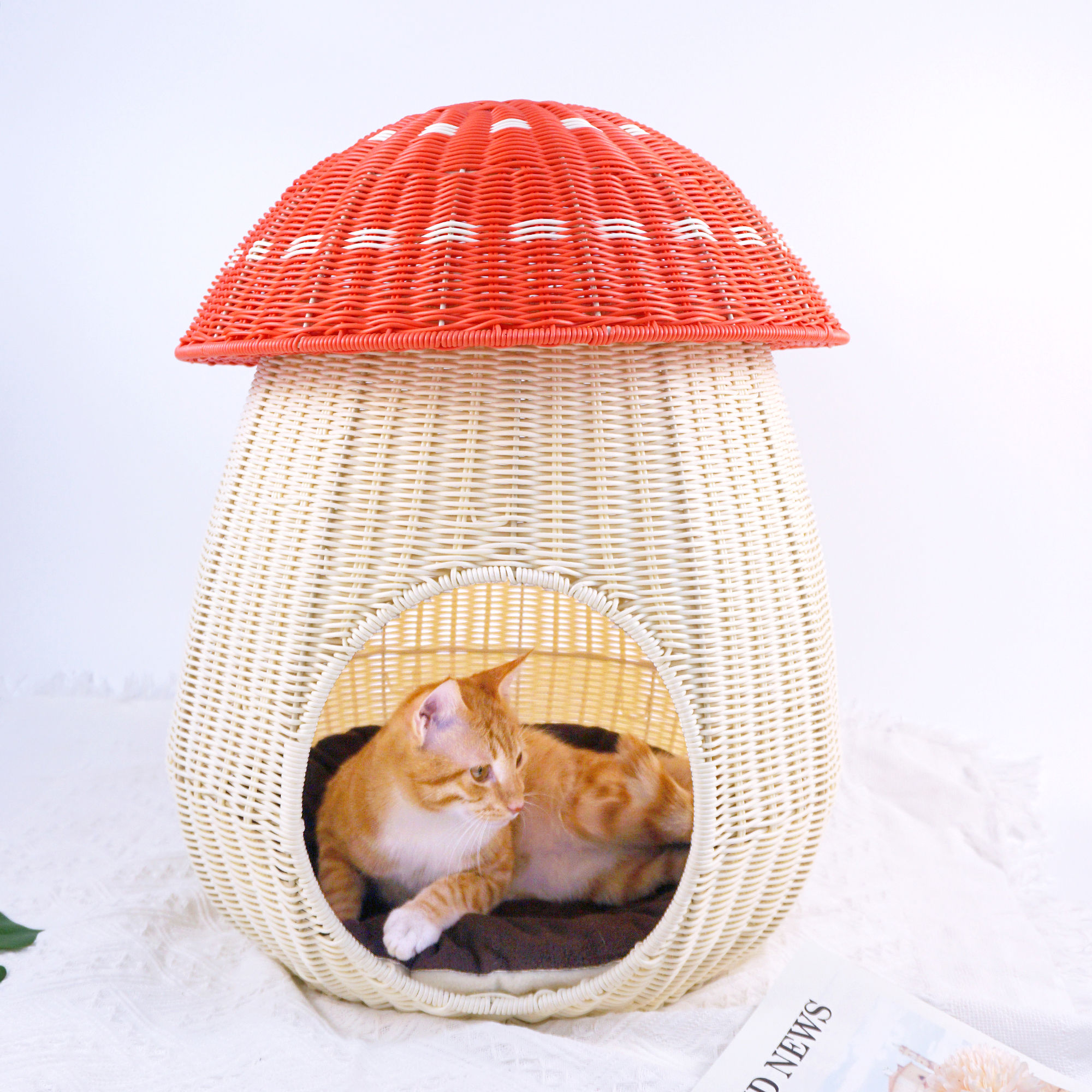 Mushroom Pet House