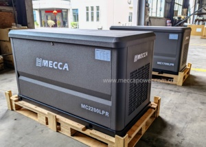 Mecca điện nhiên liệu kép Máy phát điện im lặng LPG ng Máy phát điện khí đặt 15KW 20kW cho chế độ chờ nhà - Product Image 4