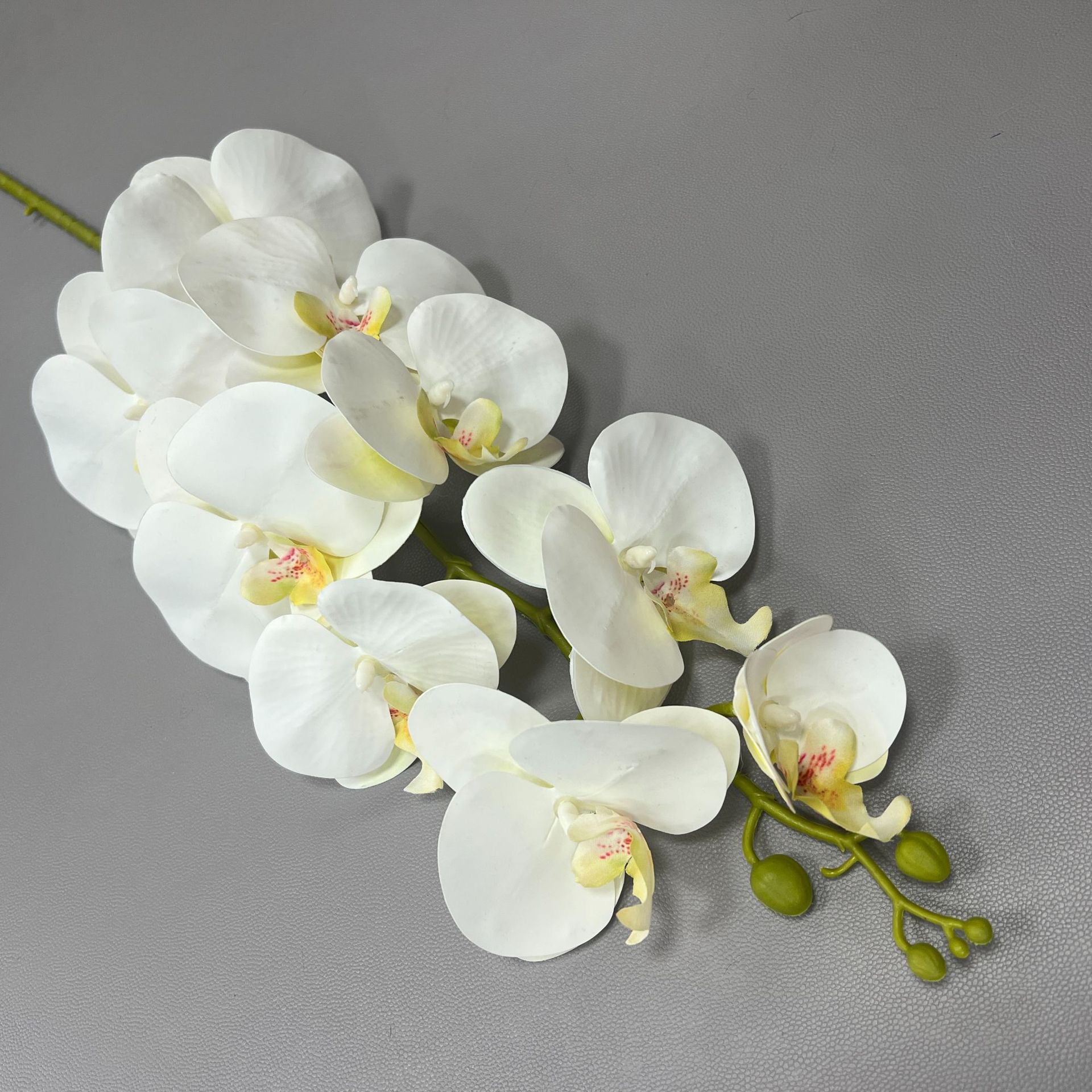 Phalaenopsis blanc à 9 branches courtes