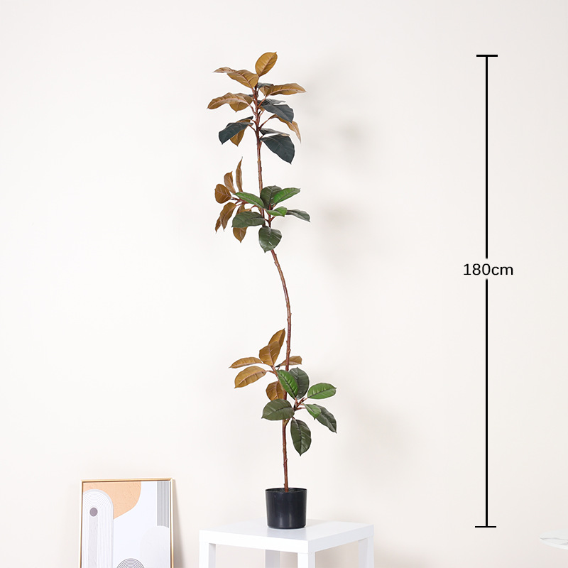 180cm