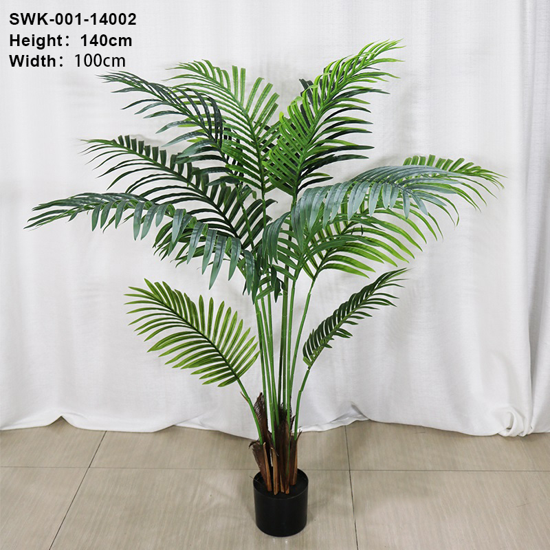 160cm/Palmier Areca