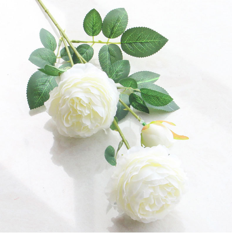 Blanc