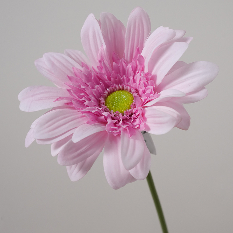 rosa oscuro