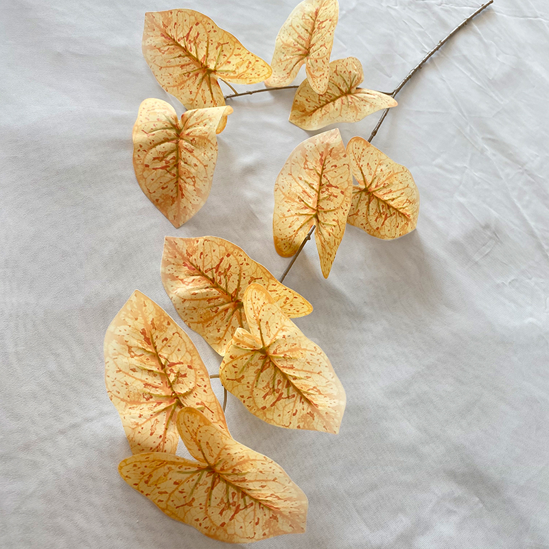 Champagne