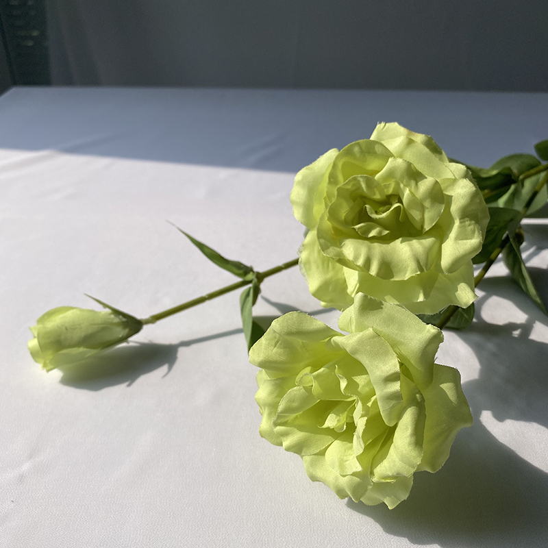 Verde chiaro