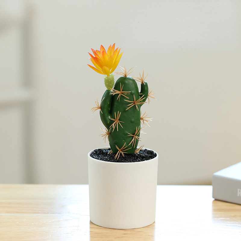 Small Pot Plant