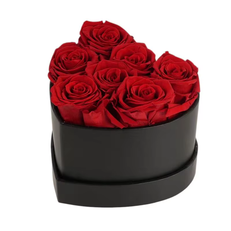 Rouge-7 Rsoes