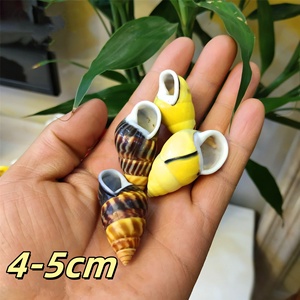 Tank manzara koleksiyonu örneği için sarı salyangoz kabuğunda cilalı doğal % kabuklu deniz hayvanı kabuğu - Product Image 4