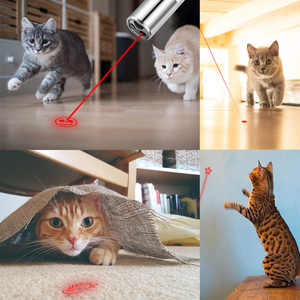 Puntatore Laser per animali domestici luce Laser penna puntatore Laser Led puntatore - Product Image 6
