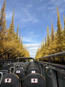 ITS <strong>Bus</strong> Stop Announcer for Sightseeing <strong>Bus</strong>/train <strong>with</strong> Management <strong>Software</strong> - Product Image 5
