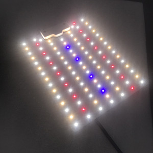 Sera filiz bitki örtüsü çiçeği çiçek Microgreen bahçecilik Hydroponics için 50W PCB kartı tam spektrumlu <span class=keywords><strong>LED</strong></span> bitki yetiştirme lambaları