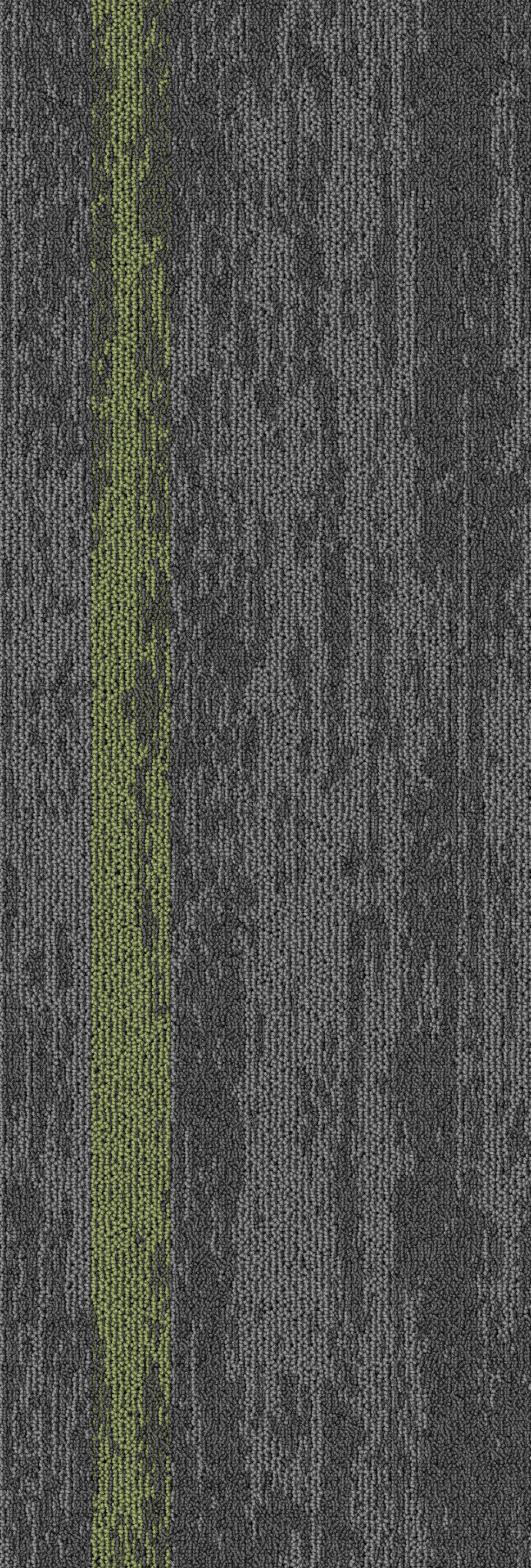 Gris08