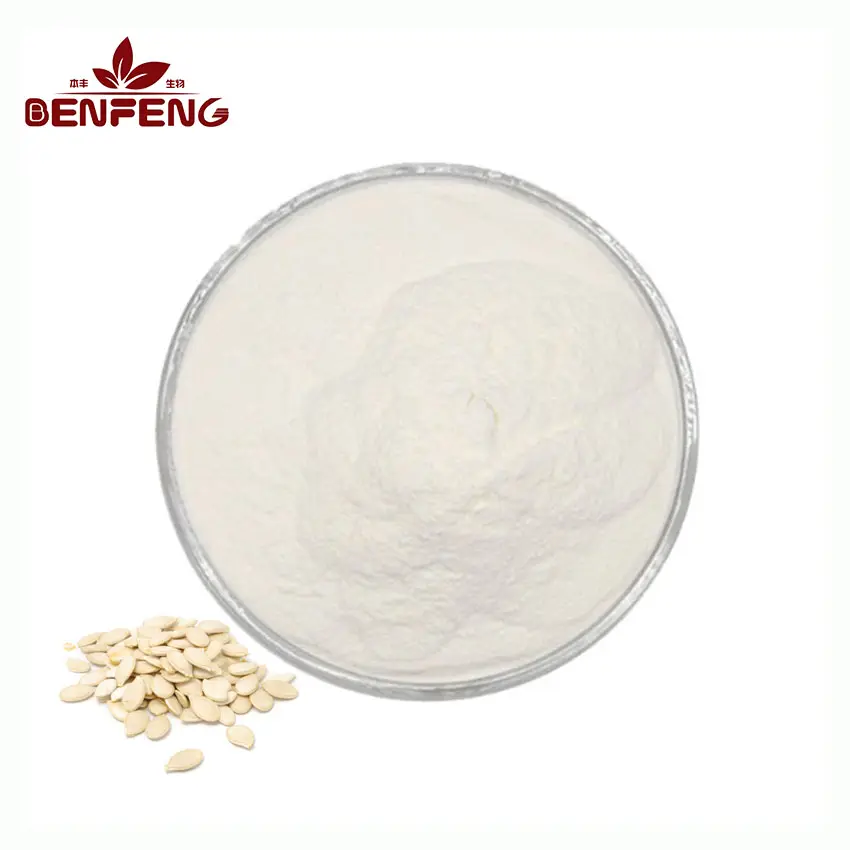 Cibo estratto di semi di zucca 60% proteine di semi di zucca semi di zucca in polvere