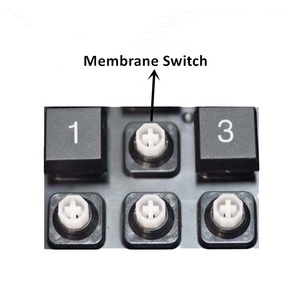 USB & PS/2 мембранная 66-клавишная клавиатура программирования для POS с MSR и электронным замком - Product Image 5