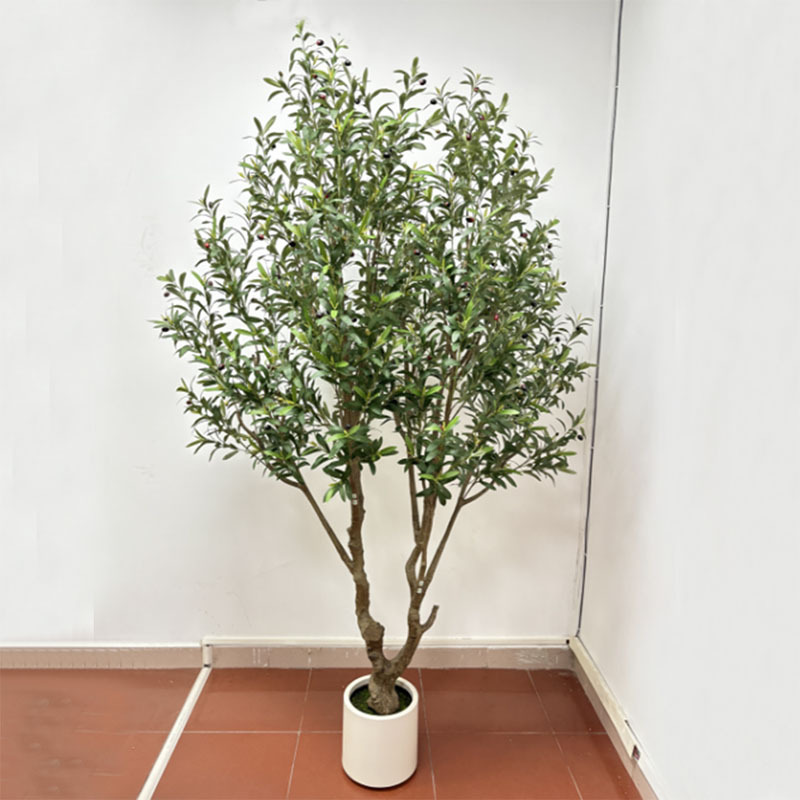 240*200cm Olive