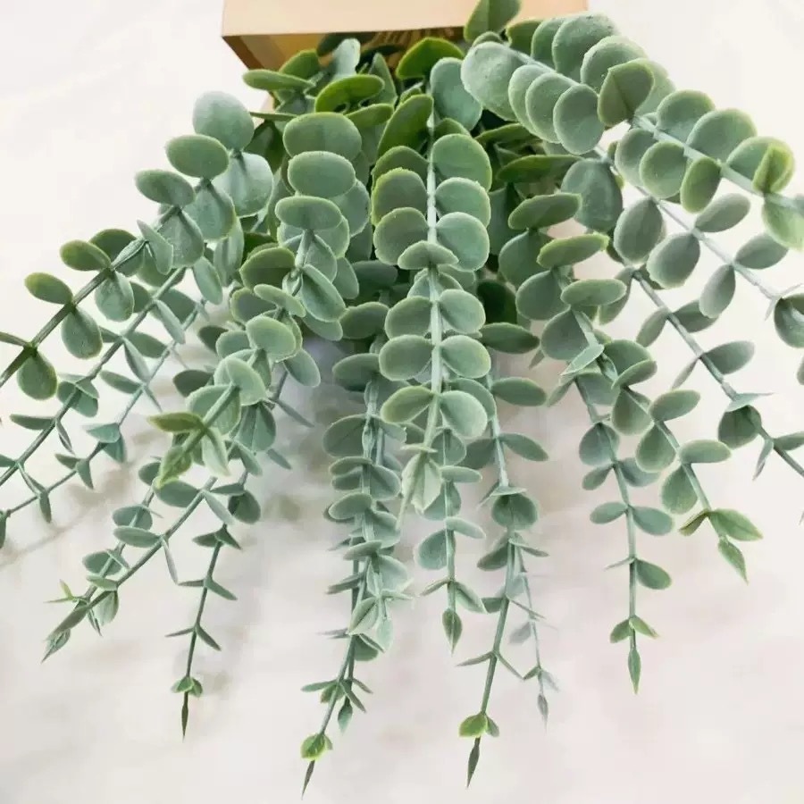 Spray d'eucalyptus vert clair 38 cm, crème blanchissante