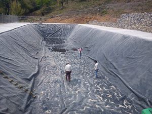 <strong>HDPE</strong> Geomembrane for Aquaculture Pond Liner Material - Product Image 5