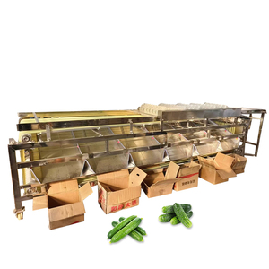 Clasificador de pepino de acero inoxidable, máquina clasificadora de pepino - Product Image 1