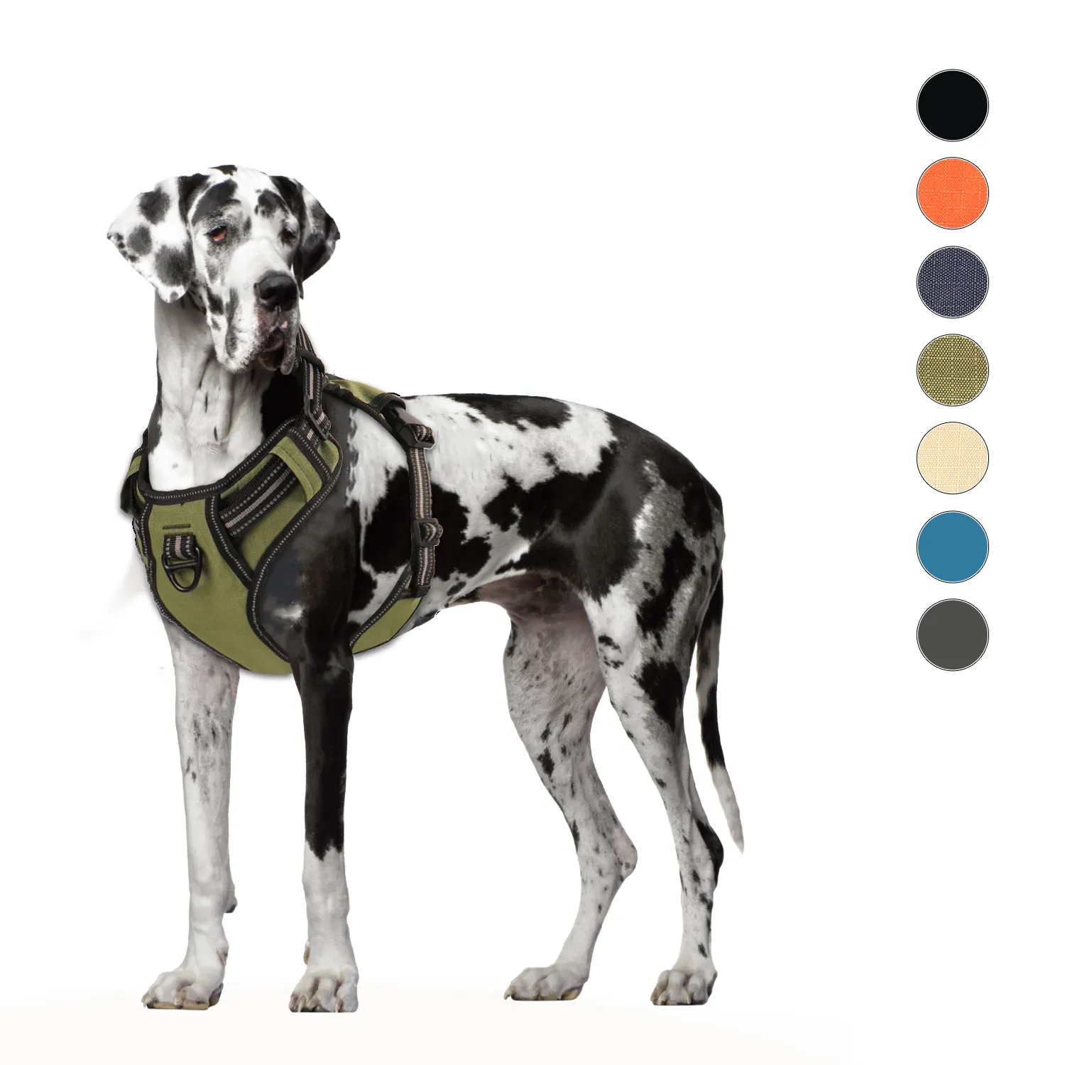Set di addestramento tattico di lusso con incisione personalizzata personalizzata con incisione personalizzata con collare per cani grande e impermeabile