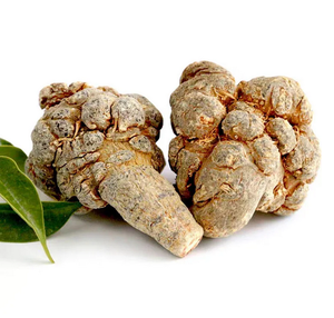 Doğal RB1 + RG1 + R1 Panax Notoginseng özü/Sanchi özü/Radix Notoginseng tozu/Notoginsenosides - Product Image 2