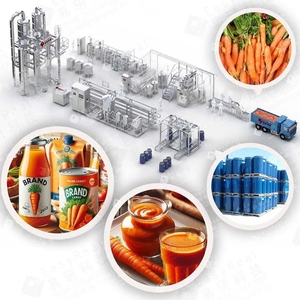 Línea de producción de zanahorias totalmente automatizada para el procesamiento de jugo y pulpa con alto rendimiento - Product Image 1