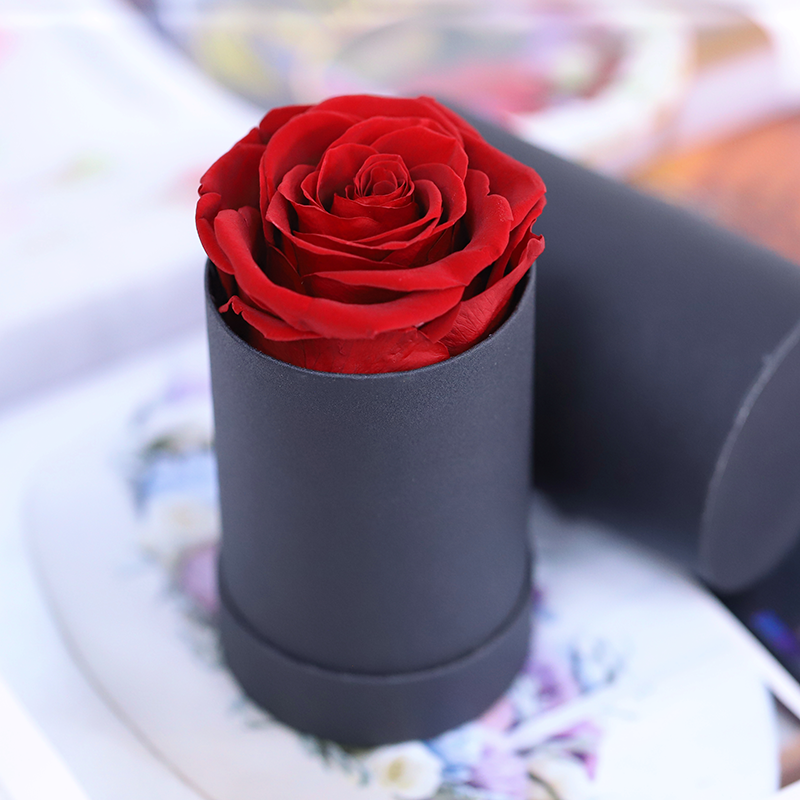 1 rose rouge dans une boîte ronde noire