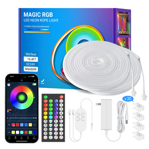 IP67 WS2811 SPI kontrollü piksel sihirli RGB 24v Neon şerit Led kiti APP WIFI Bluetooth ve güç kaynağı ile - Product Image 2