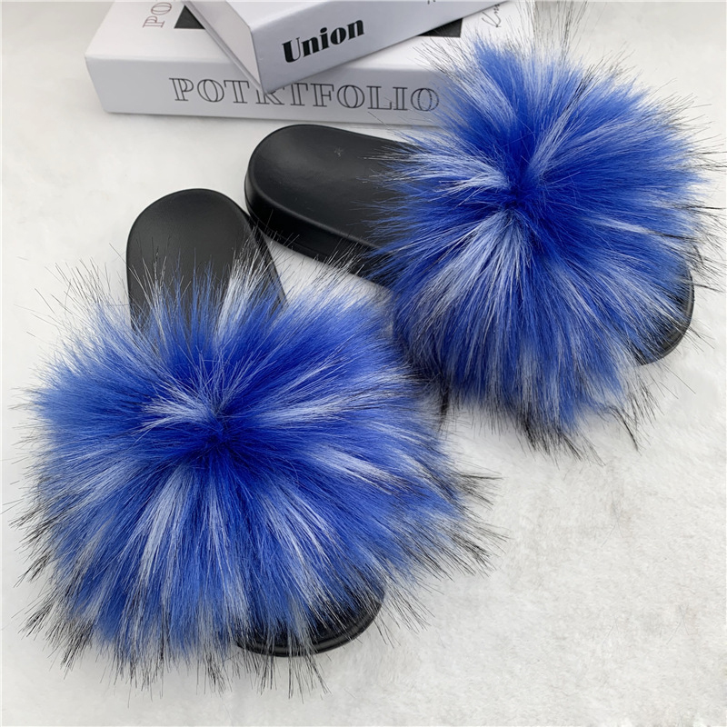 Raton laveur bleu