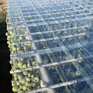 Transparente Polycarbonat-Welldach wellen platte für den Außenbereich PC-Fliesen mit UV-beständigem Poli carbonato - Product Image 4