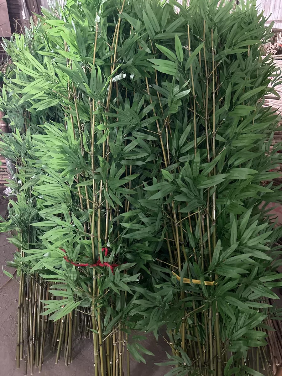 2m