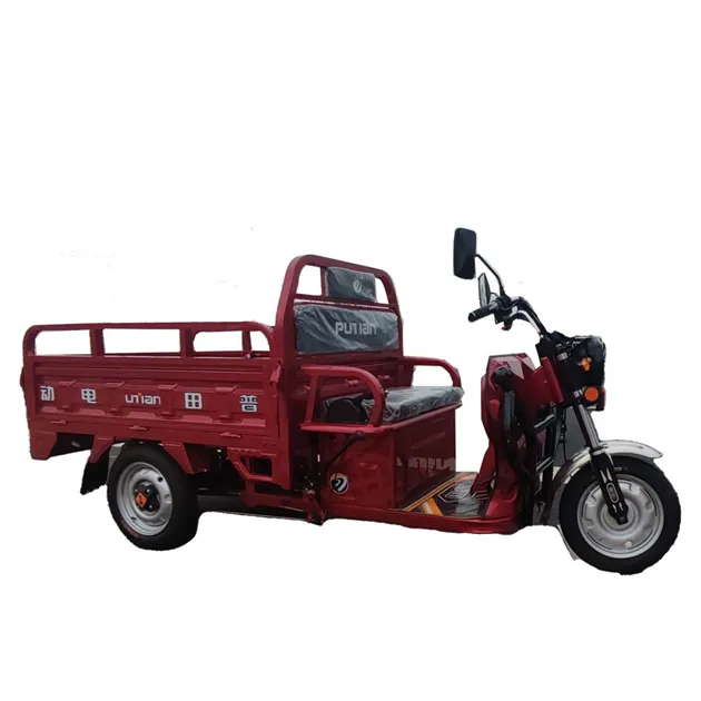 도매 산 Trike 작은 전기 자동차 장애인 뜨거운 제품 2021 3 휠 카고