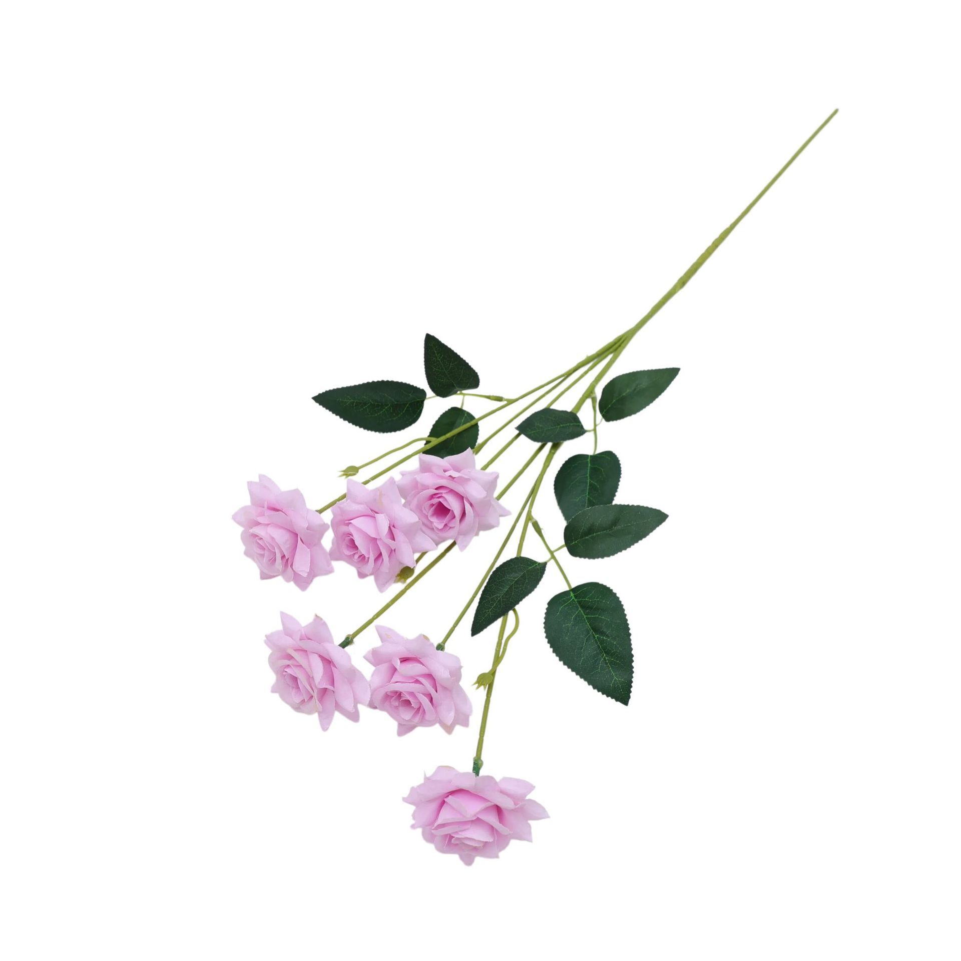 Light Purple
