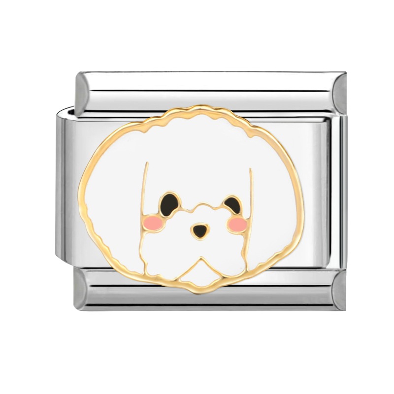 Teacup dog Silver