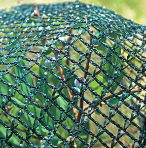 High Quality Garden <strong>Mesh</strong> Vegetable Protection Anti Bird <strong>Netting</strong> - Product Image 2
